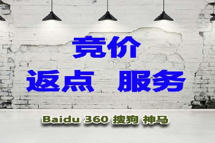 搜索引擎营销（SEM）公司某某的客户成功故事