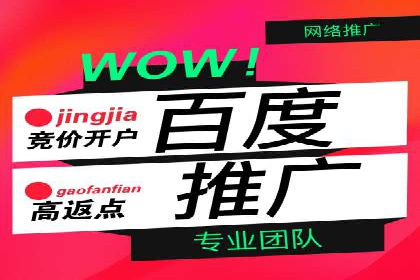 某行业巨头如何利用百度推广服务费提升业绩